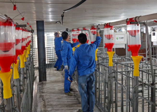 從“裝上去”到“穩產保供”——料塔料線系統后期維護全攻略